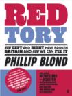 Red Tory : How Left and Right Have Broken Britain and How We Can Fix it - eBook