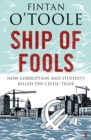 Ship of Fools : How Stupidity and Corruption Sank the Celtic Tiger - eBook