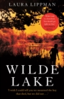 Wilde Lake : 'A knockout' Stephen King - Book
