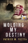 Molding My Destiny : A story of Hope that takes one child from surviving to thriving - Book