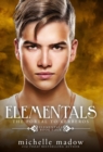 Elementals 4 : The Portal to Kerberos - Book