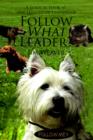 Follow What Leader? : A Logical Look at the Lessons of Leadership - Book