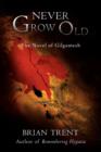 Never Grow Old : The Novel of Gilgamesh - Book