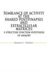 Semblance of Activity at the Shared Postsynapses and Extracellular Matrices : A Structure-Function Hypothesis of Memory - Book