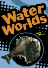 POCKET FACTS YEAR 4 WATER WORLDS - Book