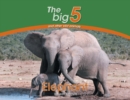 Elephant : The Big 5 and Other Wild Animals - Book