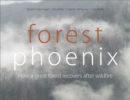 Forest Phoenix : How a Great Forest Recovers After Wildfire - Book