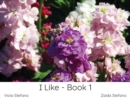 I Like - Book 1 - Book