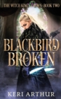 Blackbird Broken - Book