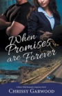 When Promises Are Forever : A River Wild Romantic Suspense Novel - Book