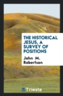 The Historical Jesus, a Survey of Positions - Book
