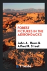 Forest Pictures in the Adirondacks - Book