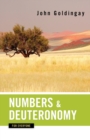 Numbers and Deuteronomy for Everyone - Book