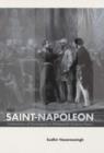 The Saint-Napoleon : Celebrations of Sovereignty in Nineteenth-Century France - Book