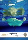 Sharks and Rays of Australia : Second Edition - Book