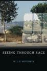 Seeing Through Race - Book
