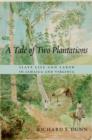 A Tale of Two Plantations : Slave Life and Labor in Jamaica and Virginia - eBook
