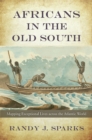 Africans in the Old South : Mapping Exceptional Lives across the Atlantic World - eBook