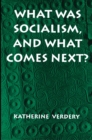 What Was Socialism, and What Comes Next? - Book