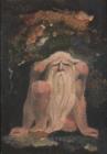 The Illuminated Books of William Blake, Volume 6 : The Urizen Books - Book