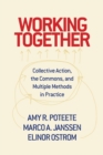 Working Together : Collective Action, the Commons, and Multiple Methods in Practice - Book
