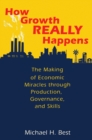 How Growth Really Happens : The Making of Economic Miracles through Production, Governance, and Skills - Book