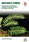 Ferns : Clubmosses, Quillworts and Horsetails of Britain and Ireland - eBook