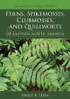 Ferns, Spikemosses, Clubmosses, and Quillworts of Eastern North America - eBook