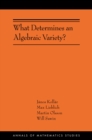 What Determines an Algebraic Variety? : (AMS-216) - Book