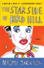 Star Side of Bird Hill - eBook