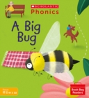 A Big Bug (Set 3) - Book