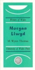 Morgan Llwyd - Book