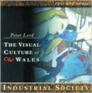 Industrial Society : The Visual Culture of Wales - Book