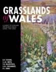 Grasslands of Wales : A Survey of Lowland Species-rich Grasslands, 1987-2004 - Book