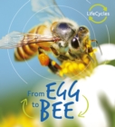 Lifecycles: Egg to Bee - Book