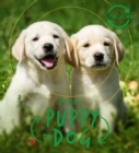 Lifecycles - Pup To Dog - Book