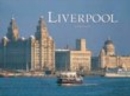Liverpool Groundcover - Book