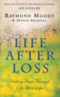 Life After Loss : Finding Hope Through Life After Life - Book