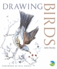 Drawing Birds - Book