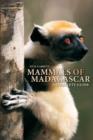Guide to the Mammals of Madagascar - Book