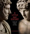 A Little Gay History : Desire and Diversity across the World - Book