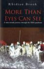 More Than Eyes Can See : A Nine Month Journey into the Aids Pandemic - Book