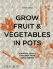 Grow Fruit & Vegetables in Pots : Planting Advice & Recipes from Great Dixter - Book