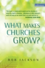 What Makes Churches Grow? : Vision and practice in effective mission - Book