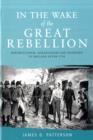 In the Wake of the Great Rebellion : Republicanism, Agrarianism and Banditry in Ireland After 1798 - Book
