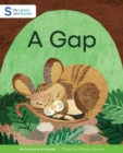 A Gap - Book