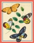 Asian Butterflies Keepsake Box - Book