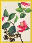 Winterthur Butterflies Everyday Embellished Notecards - Book