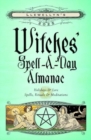 Llewellyn's 2025 Witches' Spell-A-Day Almanac - Book