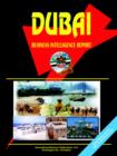 Dubai Business Intelligence Report - Book
